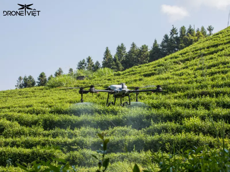 DJI Agras T20P phun thuốc trừ sâu