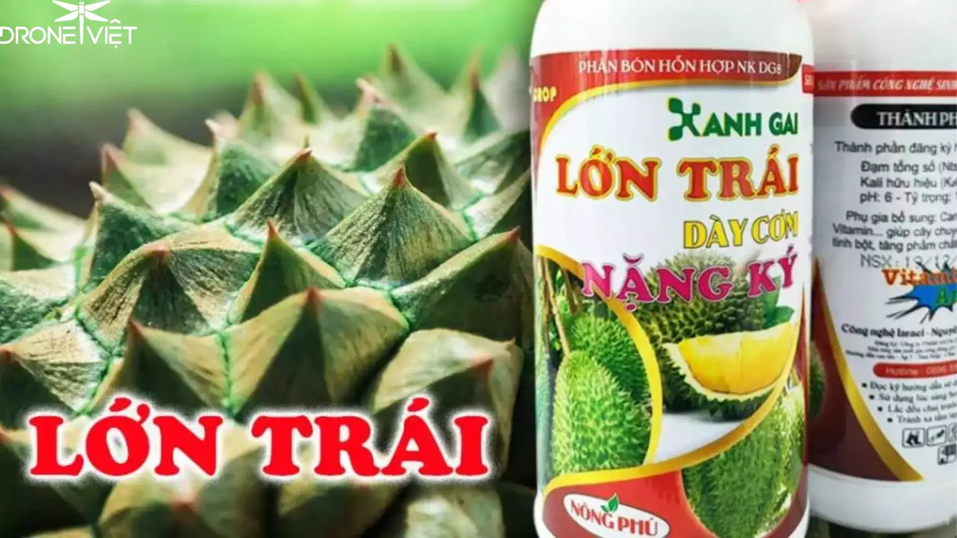 Thuốc xịt lớn trái sầu riêng